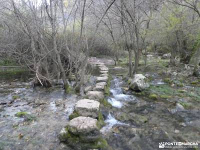 Viaje al Corazón del Barranco del Río Dulce; excursiones a cabrera nacimiento urederra puente de la 